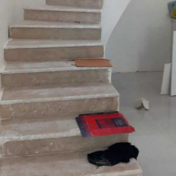 1722672702529.webp